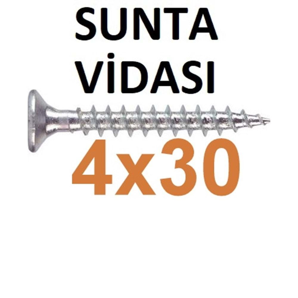 (SAYILAN) 4x30 SUNTA VİDASI 1 ADET