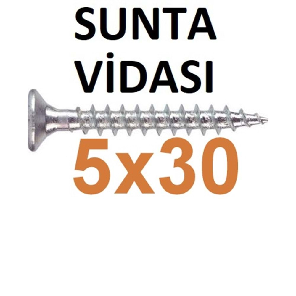 (SAYILAN) 5X30 SUNTA VİDASI 1 ADET